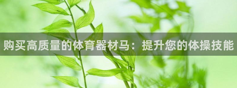 尊龙实业 吴友良：购买高质量的体育器材马：提升您的体