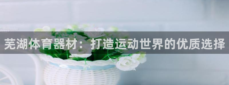 尊龙新版手机app下载：芜湖体育器材：打造运动世界的