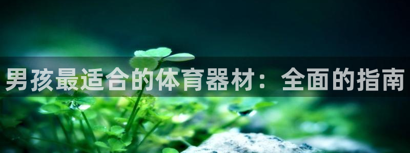 尊龙凯时下载官方正版：男孩最适合的体育器材：全面的指